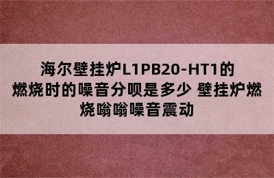 海尔壁挂炉L1PB20-HT1的燃烧时的噪音分呗是多少 壁挂炉燃烧嗡嗡噪音震动